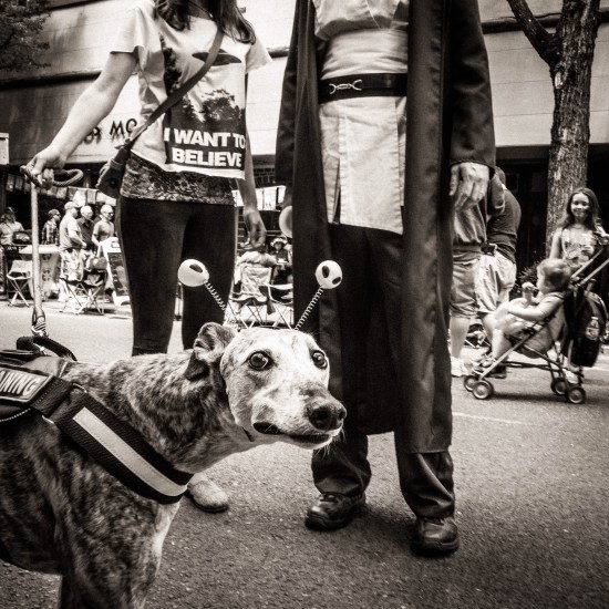 Fuji X Pro2, Voigtlander 21mm f4 color skopar, McMinnville UFO Festival, William Noel Photography