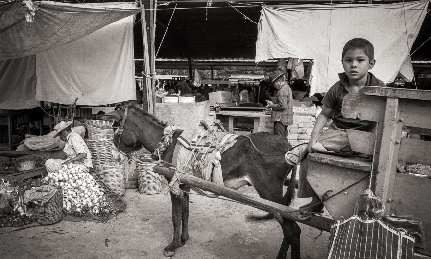 Oaxaca Street Photography, Nikon F2-AS, 28mm Nikor f3.5, Zachilia, Oaxaca Mexico, William Noel Photography